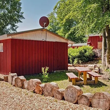 Seestern * Ückeritz